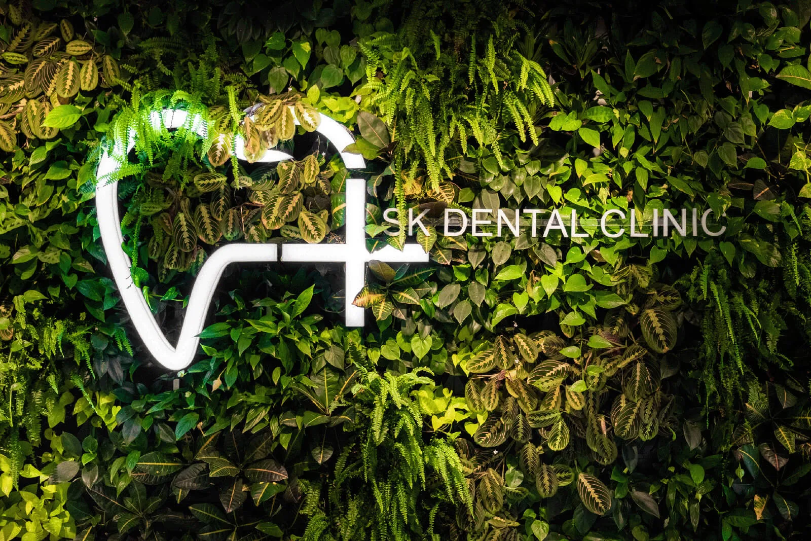 SK Dental Žilina